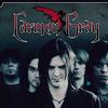 Carmen Gray Saint In Sorrow 试听