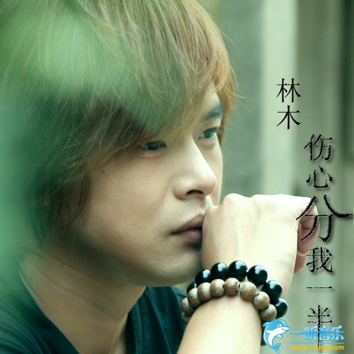 伤心分我一半 (单曲)