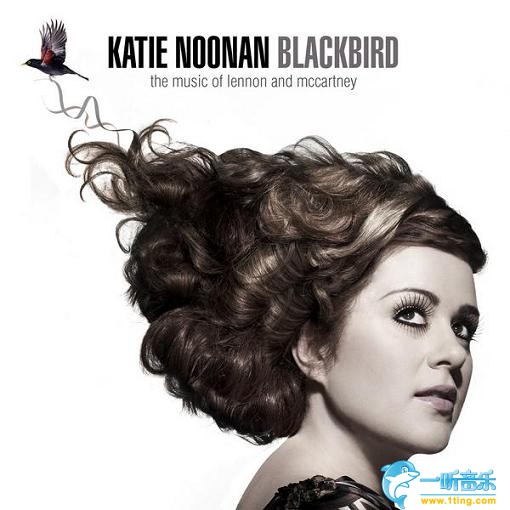 Blackbird