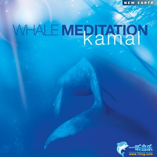 Whale Meditation