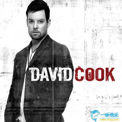 David Cook