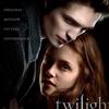 电影原声 Flightless Bird, American Mouth - Iron & Wine 试听