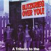 欧美杂锦合辑 Blitzkreig Bop - Die Toten Hosen 试听