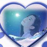 泣雪——真爱永相随详情
