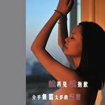 说再见说抱歉 (单曲)详情