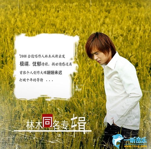 同名专辑