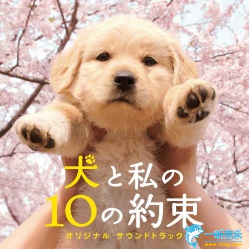 犬と私の10の約束 与狗狗的10个约定