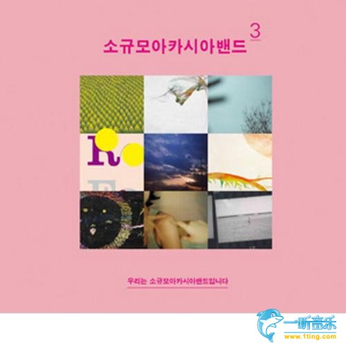 우리는 소규모 아카시아 밴드입니다