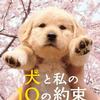 电影原声 ソックスの旅 試聴する 试听