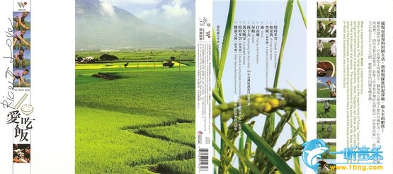 爱吃饭