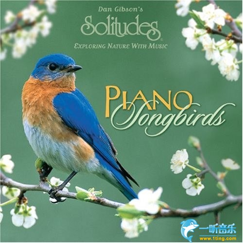 Piano Songbirds鸟语花香