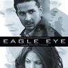 Eagle eye 鹰眼