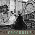 The Crocodile Society Of Aphasia详情