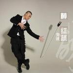 醉红颜 (单曲)详情