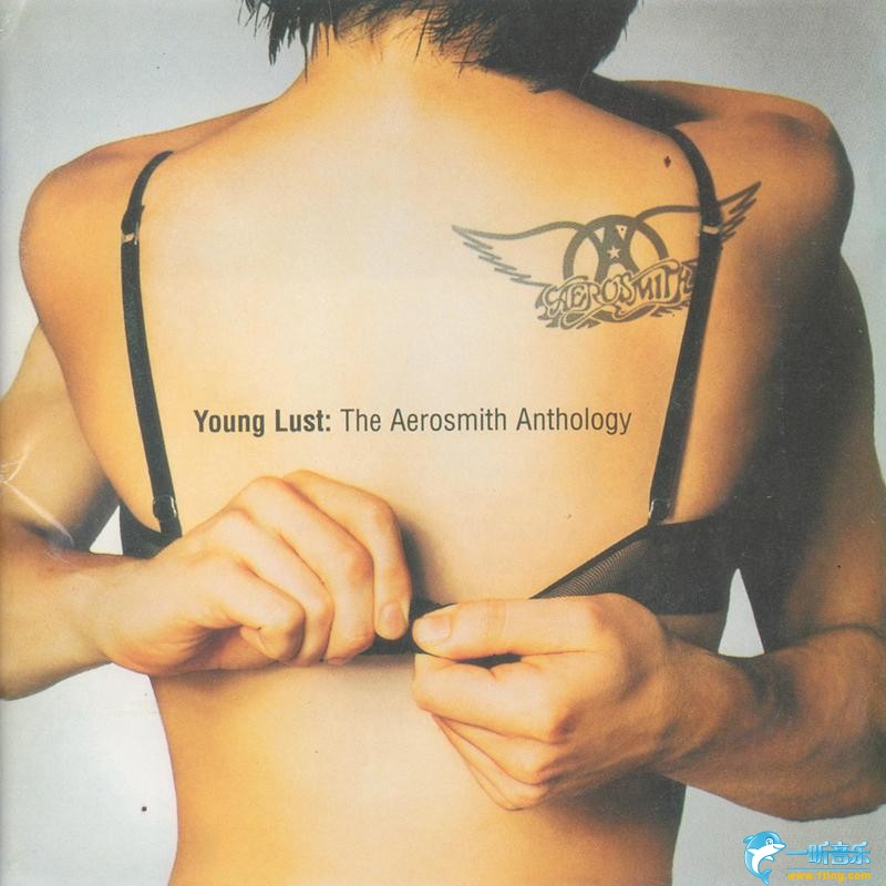 Young Lust: The Aerosmith Anthology