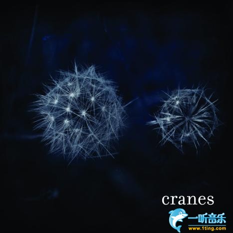 Cranes