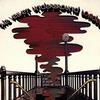 The Velvet Underground Who Loves The Sun 试听