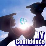 Confidence详情