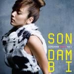 Son Dam Bi Remix Vol. 1详情