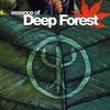Essence of Deep Forest