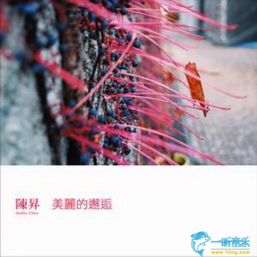美丽的邂逅
