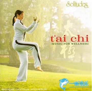 Tai Chi 太极