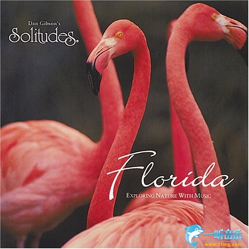 Florida 佛罗里达
