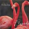 Dan Gibson Florida Dream 试听