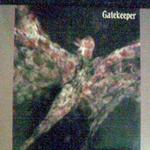 Gatekeeper详情