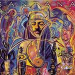 Shaman详情