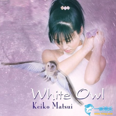 White Owl 白色猫头鹰
