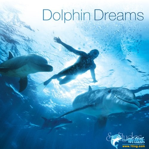 Dolphin Dreams 海豚之梦