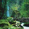 Dan Gibson S. Bach) 试听