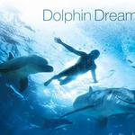 Dolphin Dreams 海豚之梦