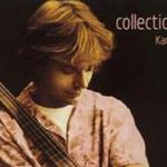 Collection详情