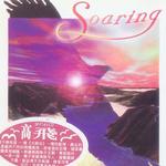 Soaring 高飞详情