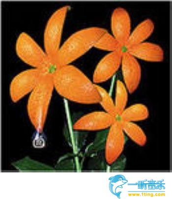 花