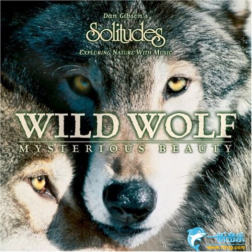 Wild Wolf 野狼