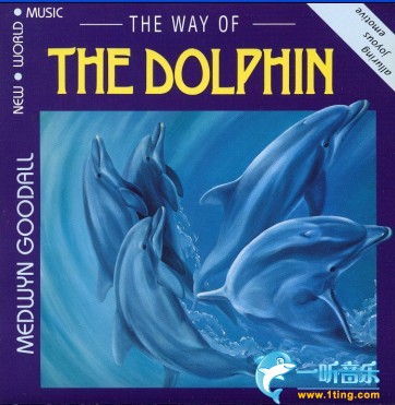 Way of the Dolphin