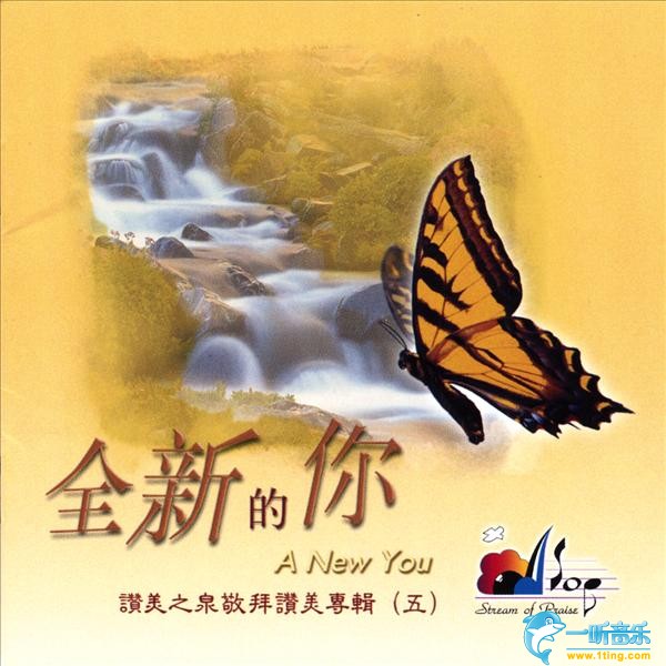 全新的你