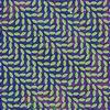 Animal Collective In the Flower 试听