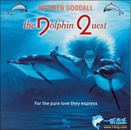 Dolphin Quest