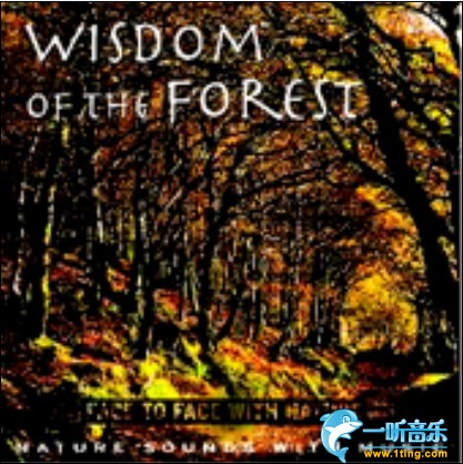 Wisdom of the Forest