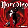 TUBE Paradiso ～爱の迷宫～(Instrumental) 试听