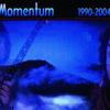 Momentum 动量