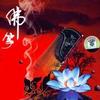 付娜 皈依 试听