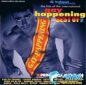 Gay Music Collection CD17