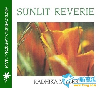 Sunlit Reverie