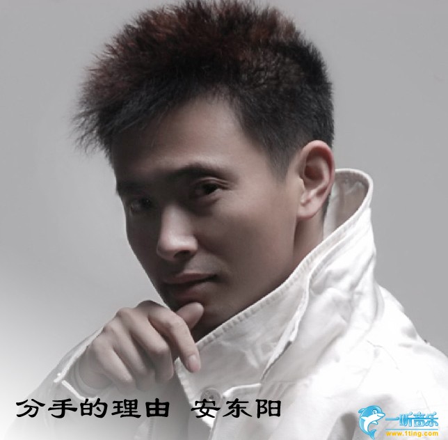 分手的理由 (单曲)