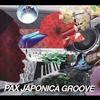 Pax Japonica Groove Shou-Ryu/昇竜 试听